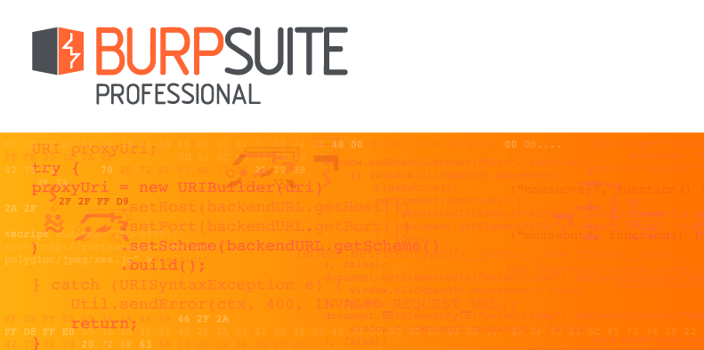 Burp Suite Professional 2021.9 Build 10295