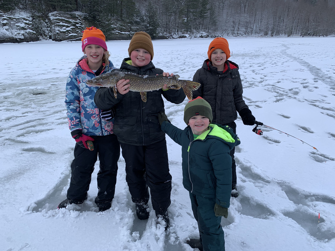 E82F1663-D771-4A41-9950-01FA71E85DD3