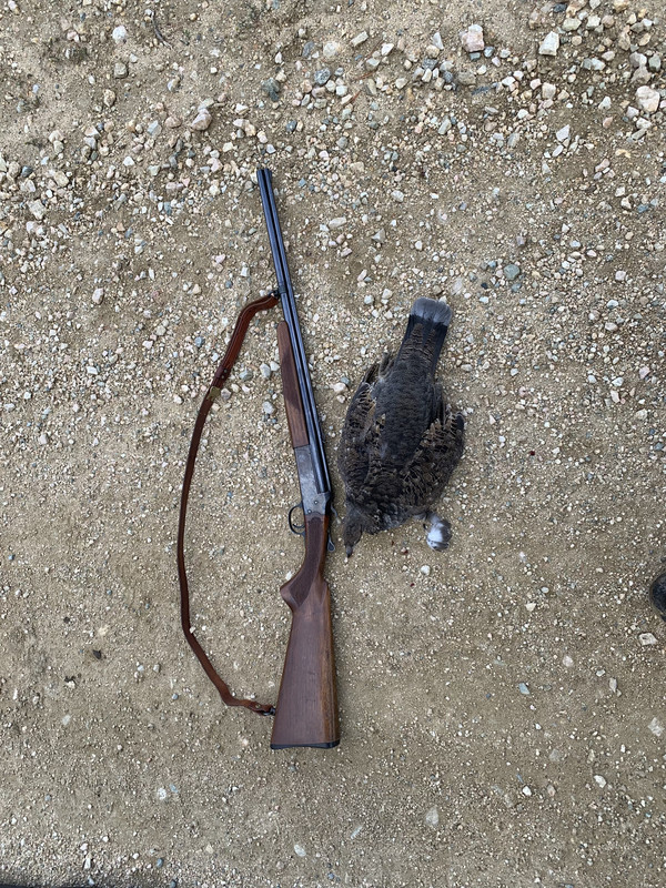 006CF3A3-AFC9-43D3-A9D8-313BECAEDA0F