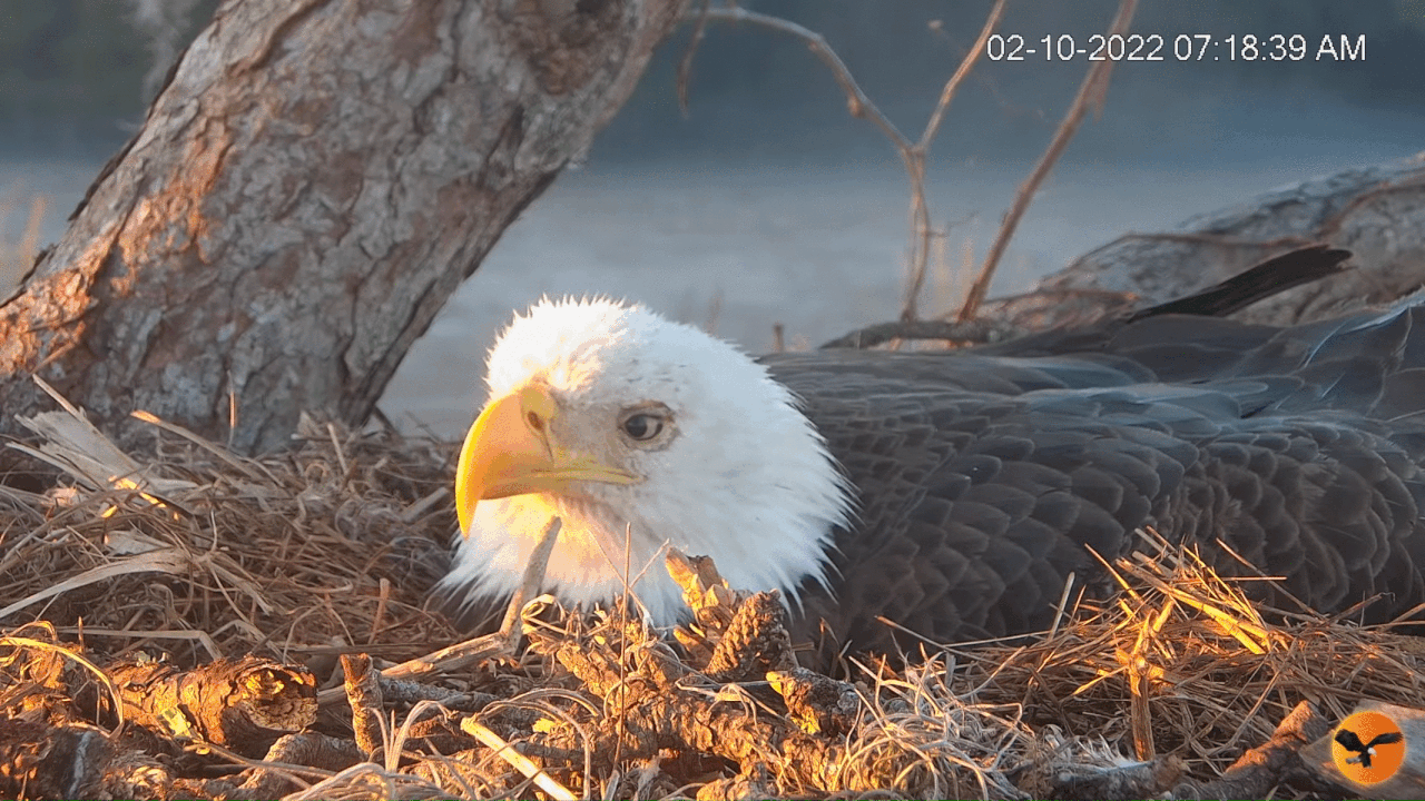 Webp.net-gifmaker (2)