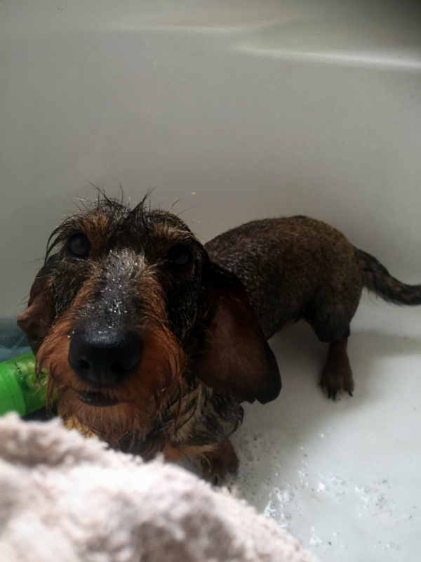 [Image: IMG-2157.jpg]