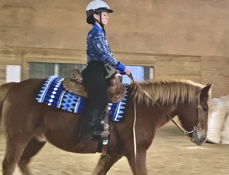 10136706-E639-47D9-9CD7-B5FAC753C67D