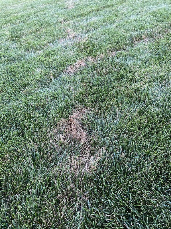 E294B6AB-8DE0-4479-AC9D-4C952C9F2899