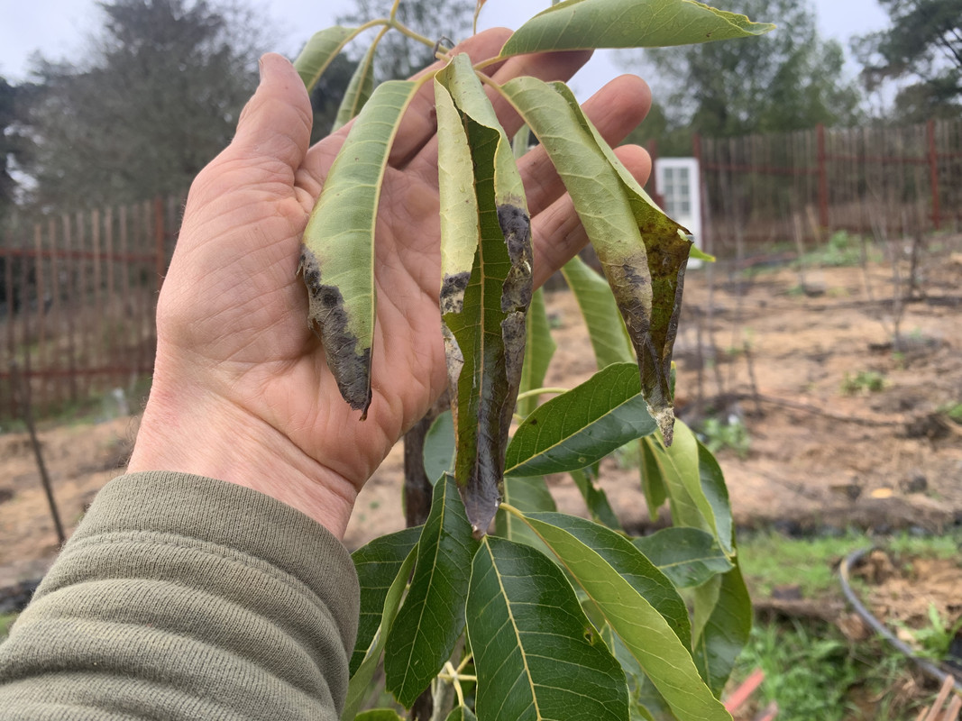 56D0443C-5E76-4B9F-8941-1DDCAF01F6A1