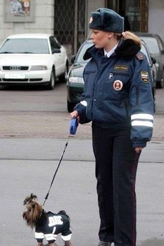 d6438b583990dbba9732673983460cd7