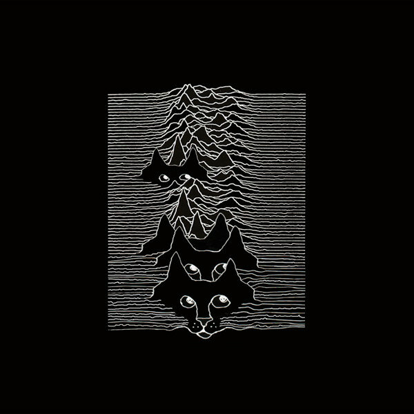 09-Purr-Division-Unknown-Whiskers