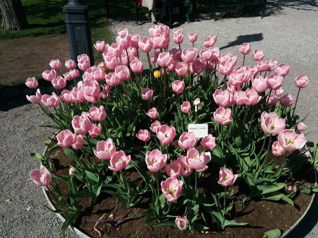 IMG_20190517_102004