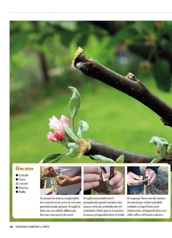 Pass Giar e Orto Apr 2026 (11)