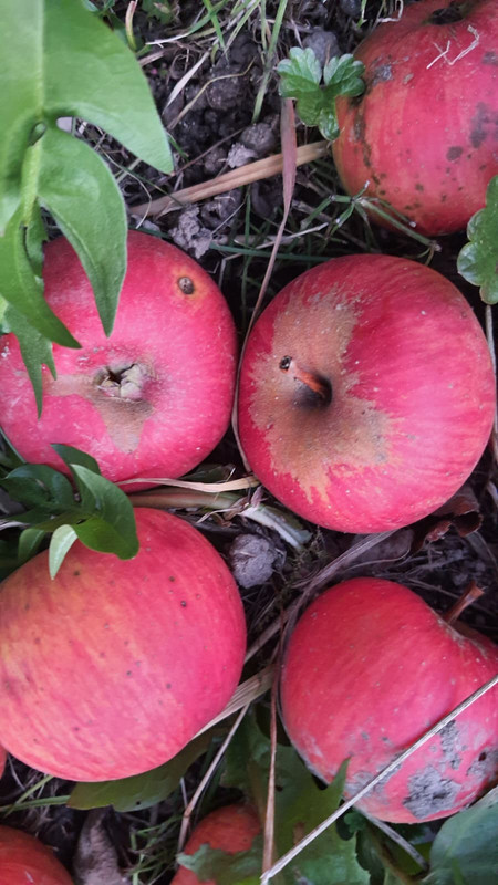 WhatsApp Image 2025-10-21 at 18.25.16 (2)