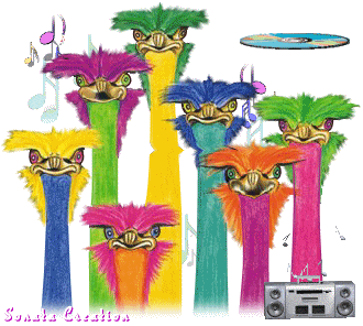 Birds-Music
