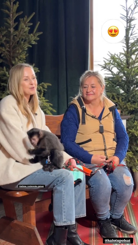 Messenger_creation_9B9A0281-AB68-4EA7-99F3-301880E88070