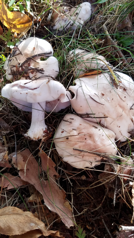 20181010_155651
