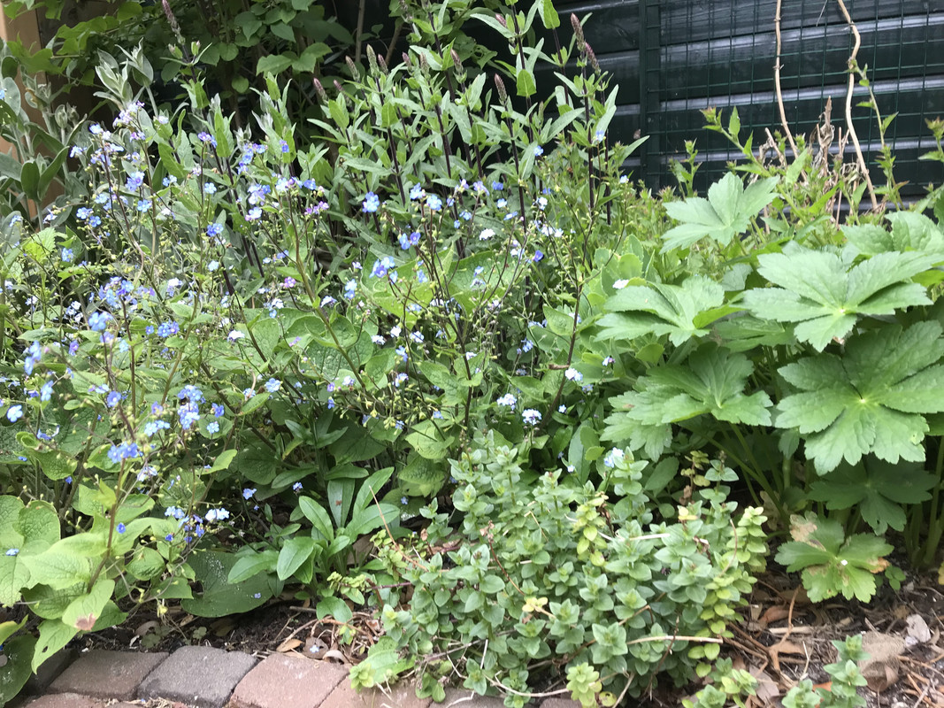 421DC36B-C537-4BD4-B20D-5F9C184BC58E