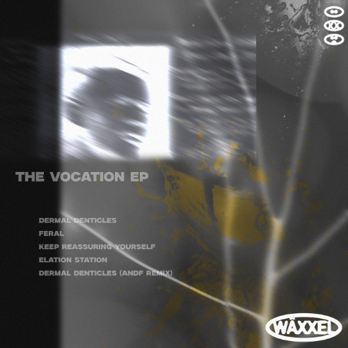 00-koexistant-the-vocation-ep-wxl014-web