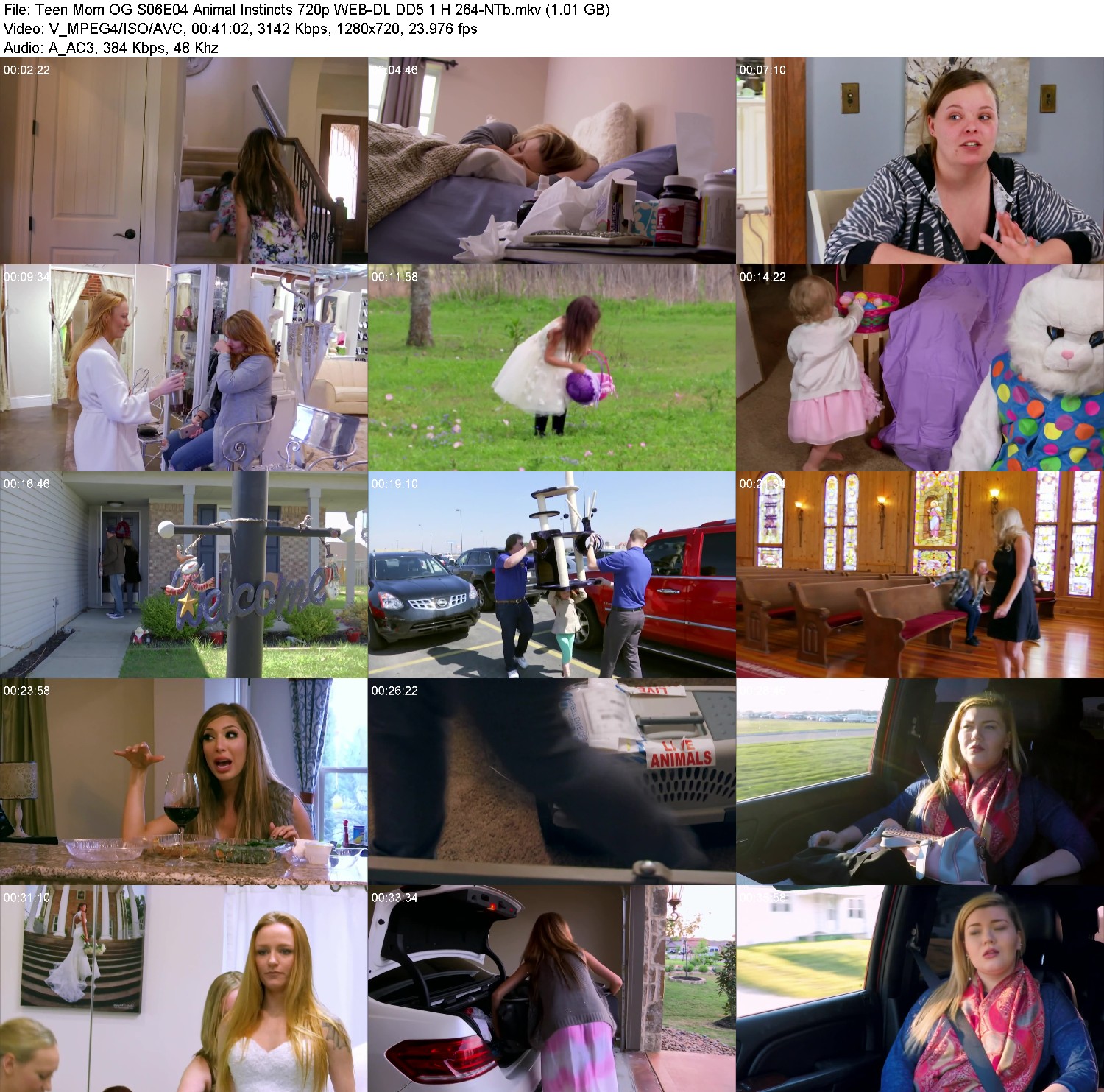 [Image: 0h2y3l8gzgko.jpg]