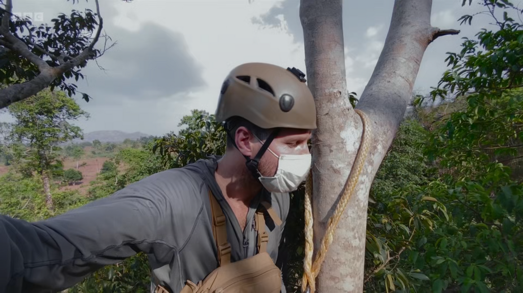 [Image: 485hraugh1kc.png]