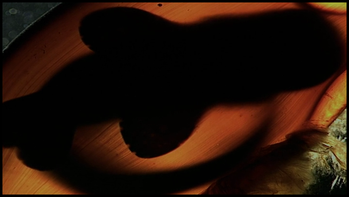 [Image: g5jc5yk90jaf.png]