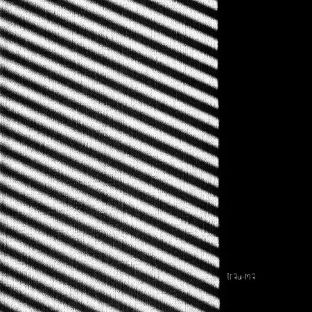 Raev - Dust & Motion (2025)