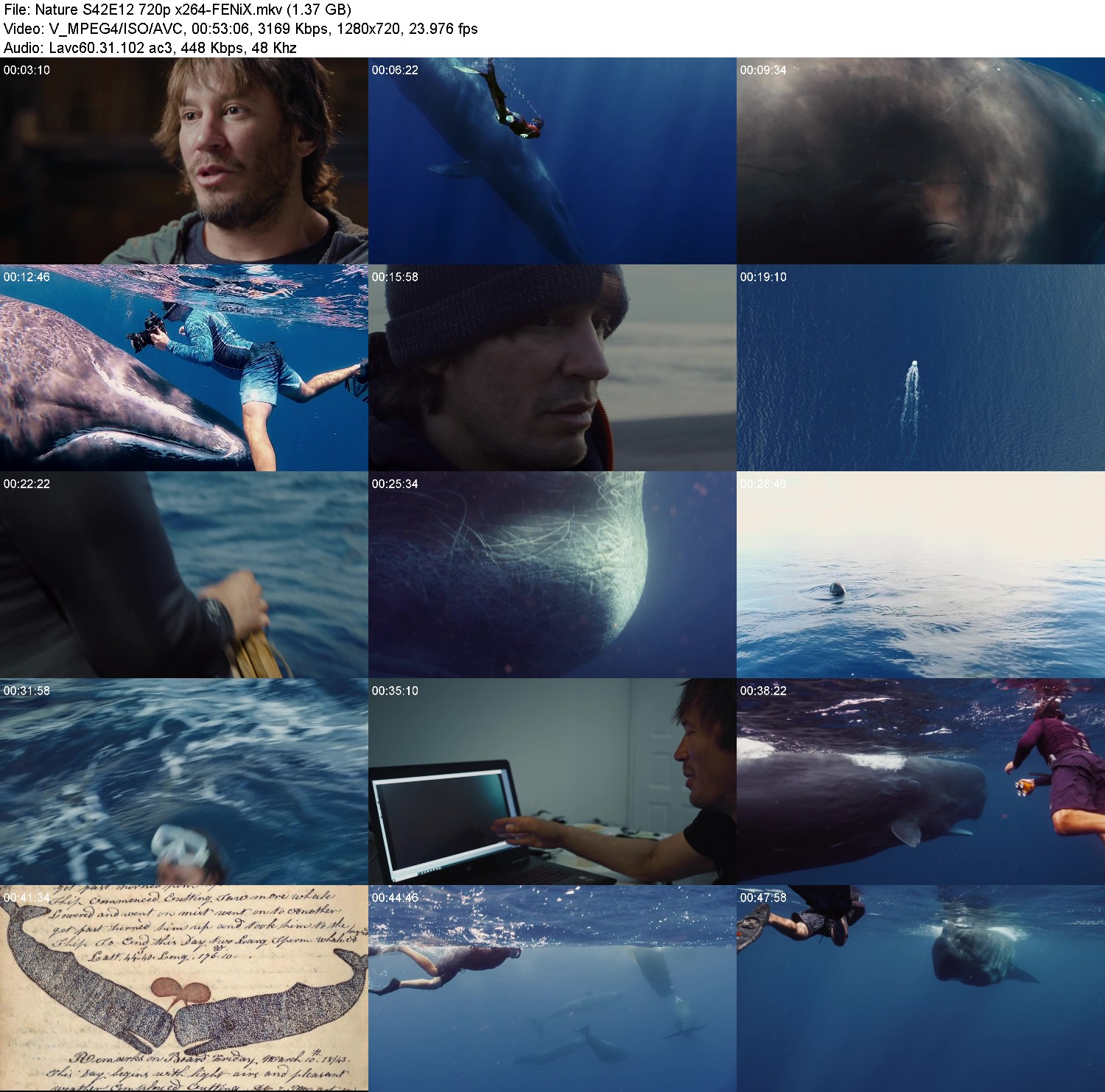 [Image: 05ztn32wvdmv.jpg]