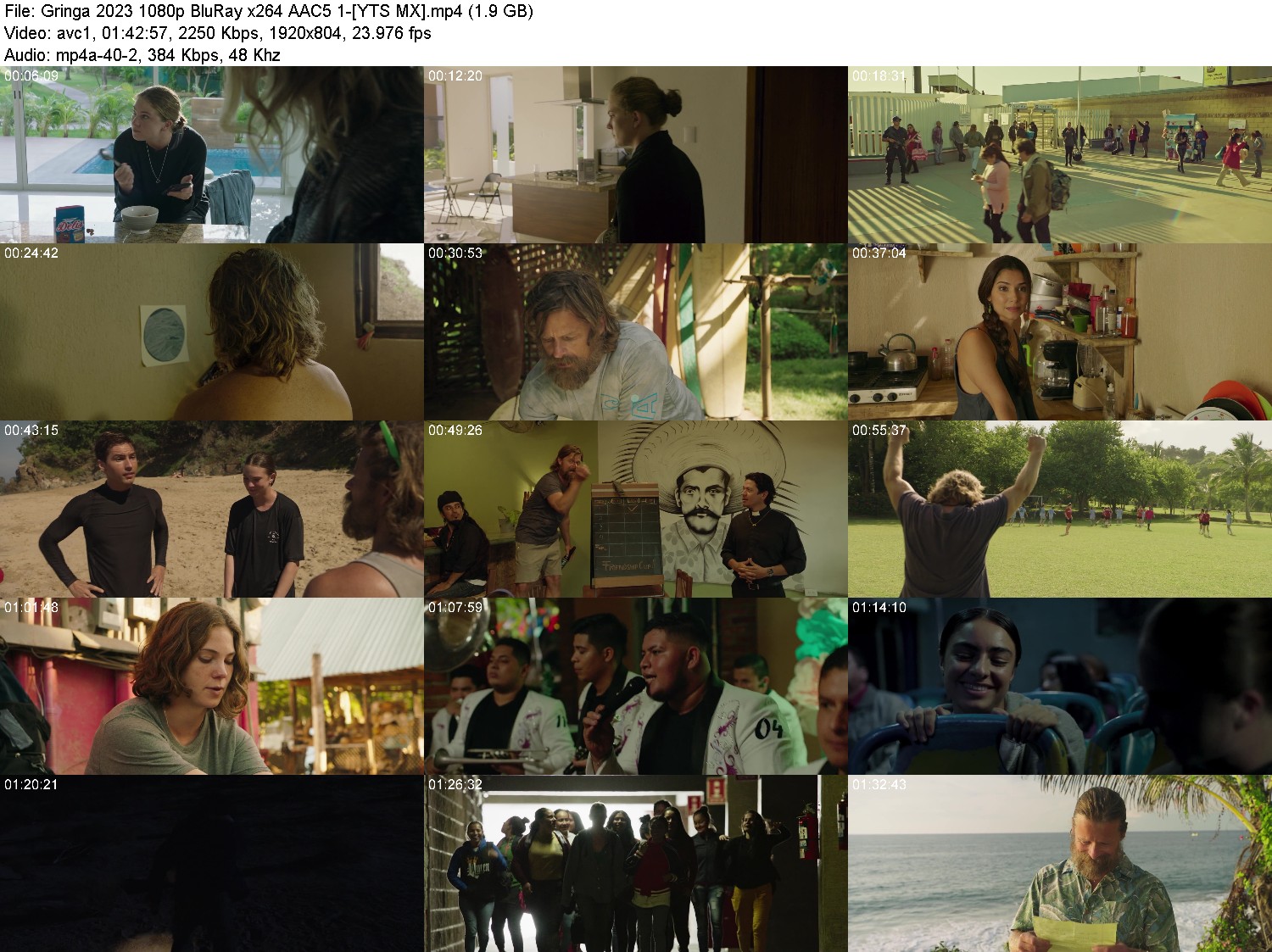 [Image: hnk8g9uxo5c1.jpg]