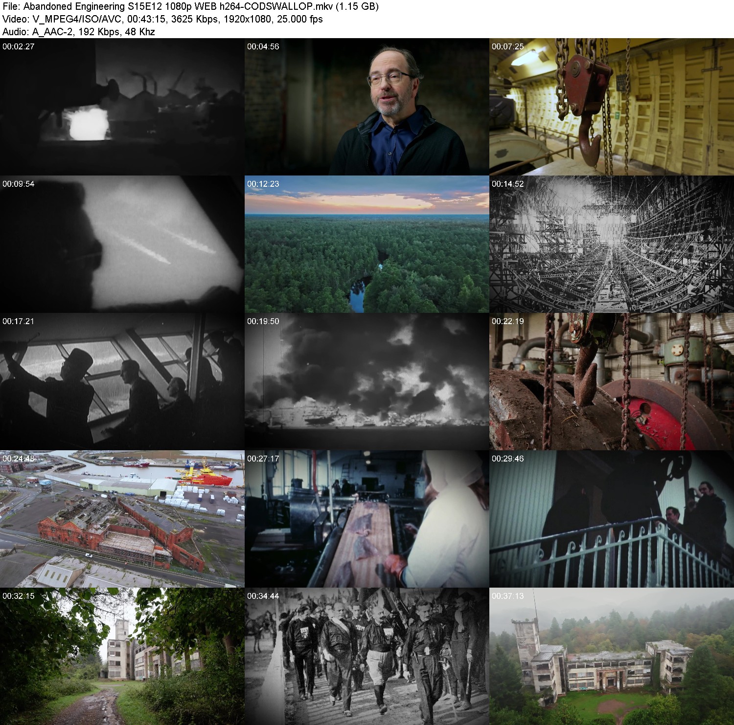 [Image: p06xvoq9tv7n.jpg]