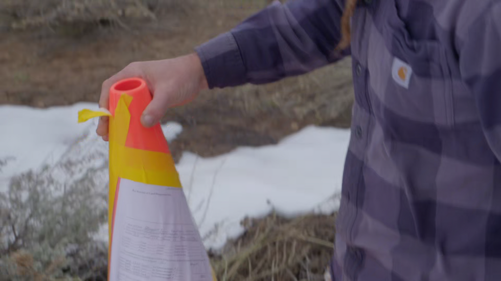 [Image: l782e8lomzxf.png]