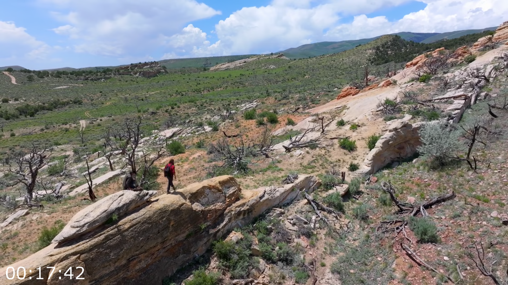 [Image: f0ode99wf4mt.png]