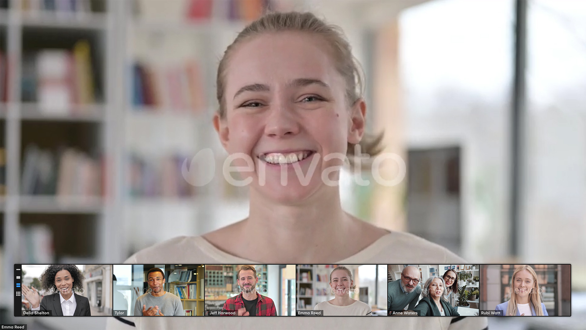 Zoom Views: Online Video Conference Toolkit - 24