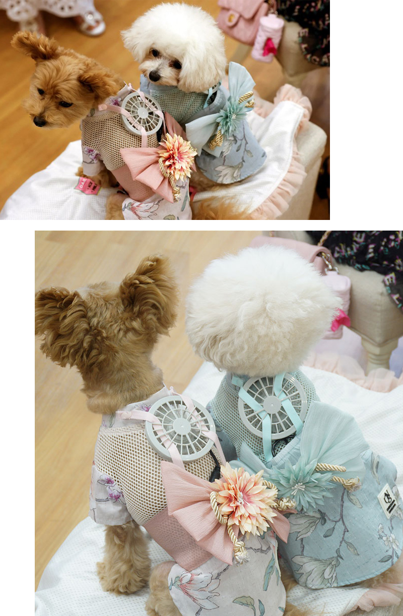 Wearable Fan for Dogs and Cats SWEET MOMMY