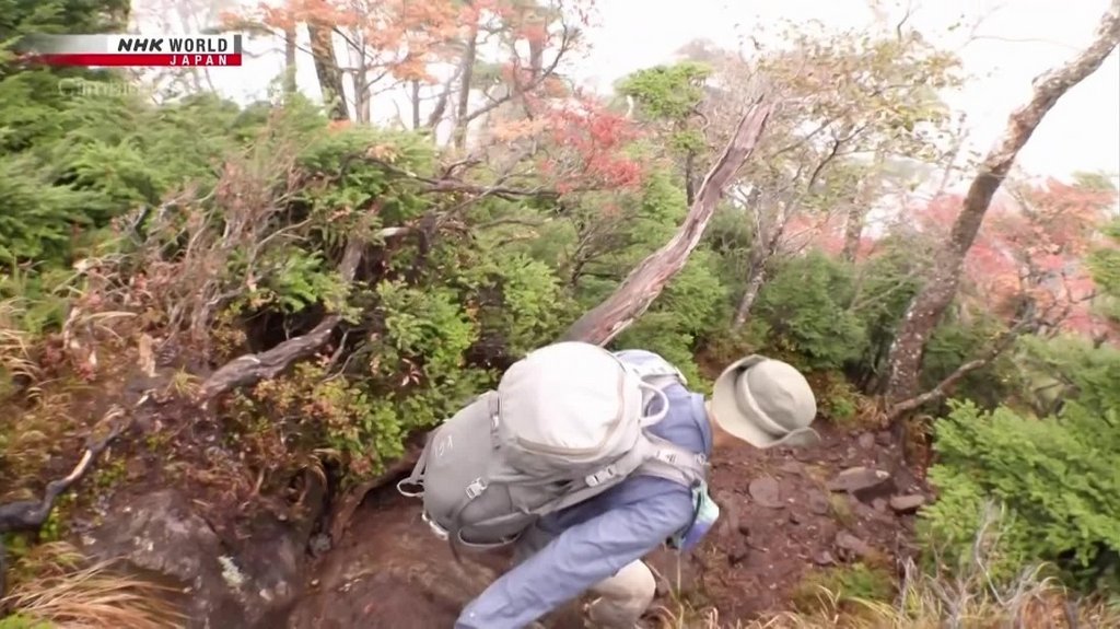 [Image: 60ilk5qlphp4.jpg]