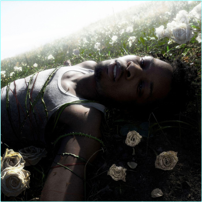 [Image: 7acepew9r1c9.png]