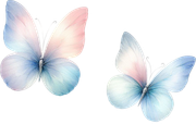 tk-Bunny-Kisses-butterflies1