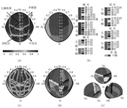 图 3-9 经颅脑图谱 TBA114_LPBA40