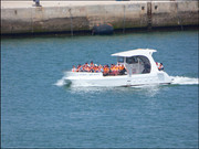 Arade-estuary-170625 (12)