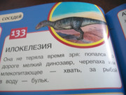 https://i.postimg.cc/p5JK4n0C/100-8080.jpg