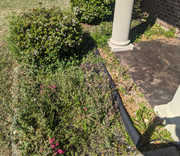 PXL-20230305-163539134