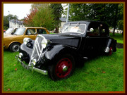 DSC07446.jpg