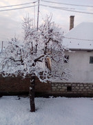 https://i.postimg.cc/p5MPjDVY/IMG-20201130-073950-1.jpg