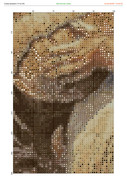 2897883-crosti-ru-color-16
