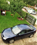 180630 IMG_1023 Абадон - Пожаревац 2