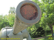 IMG-5480