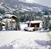 Seggiovia Campo Corona-Colfiere 7