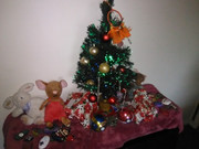 IMG-20181225-151227