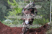 IMG-6606