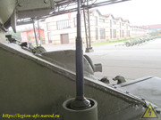 IMG-0225