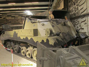 IMG-5733