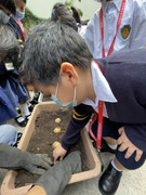 photo-littlefarmer2223-1B-010