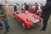 [Image: MG-8723.jpg]