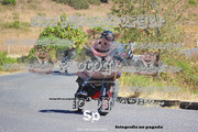 IMG-2530