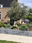 599C0F95-E639-482D-AD02-E98A6B1E2077